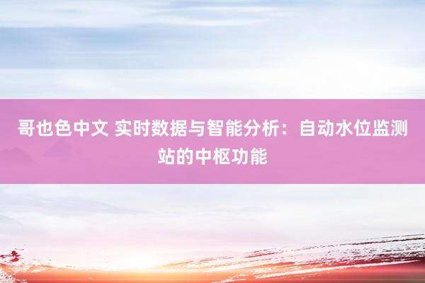 哥也色中文 实时数据与智能分析：自动水位监测站的中枢功能