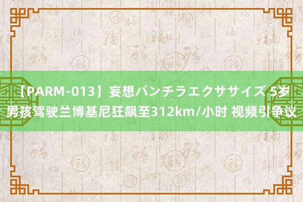 【PARM-013】妄想パンチラエクササイズ 5岁男孩驾驶兰博基尼狂飙至312km/小时 视频引争议