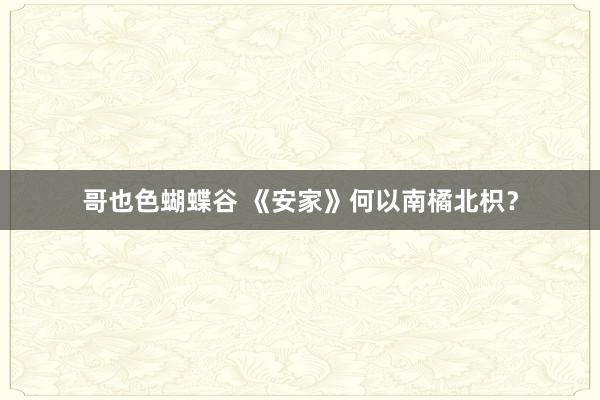 哥也色蝴蝶谷 《安家》何以南橘北枳？