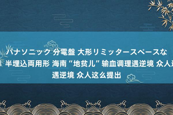 パナソニック 分電盤 大形リミッタースペースなし 露出・半埋込両用形 海南“地贫儿”输血调理遇逆境 众人这么提出