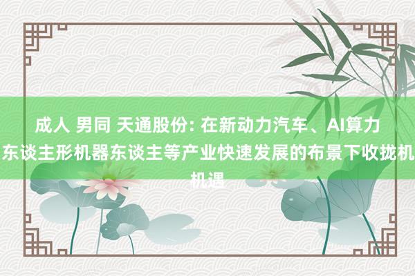 成人 男同 天通股份: 在新动力汽车、AI算力、东谈主形机器东谈主等产业快速发展的布景下收拢机遇