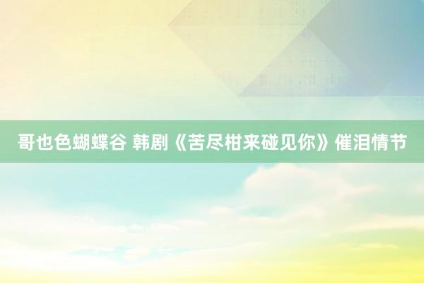哥也色蝴蝶谷 韩剧《苦尽柑来碰见你》催泪情节