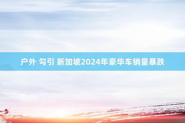户外 勾引 新加坡2024年豪华车销量暴跌